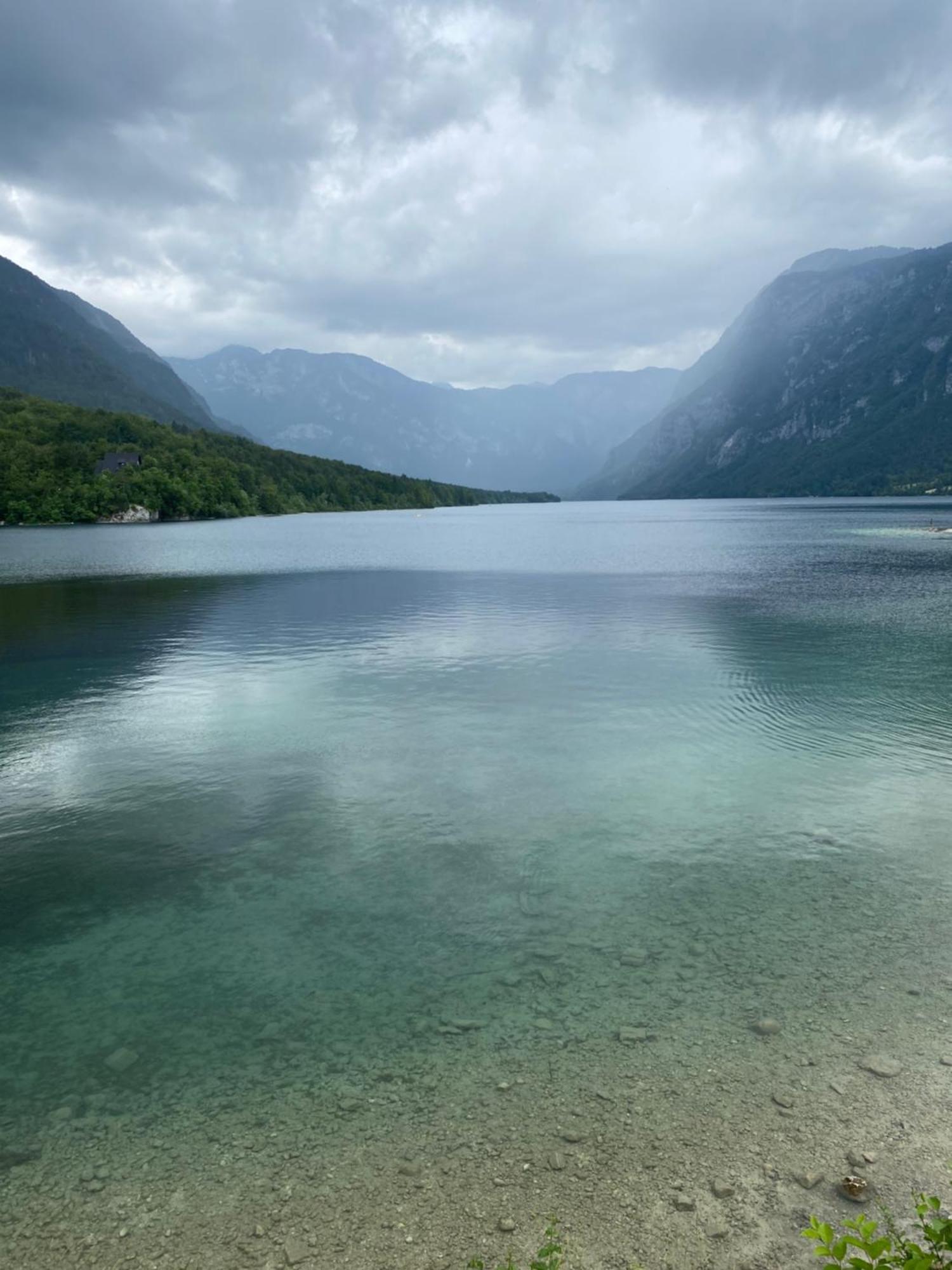 Luxury Apartment Near Lake Bohinj Eksteriør billede